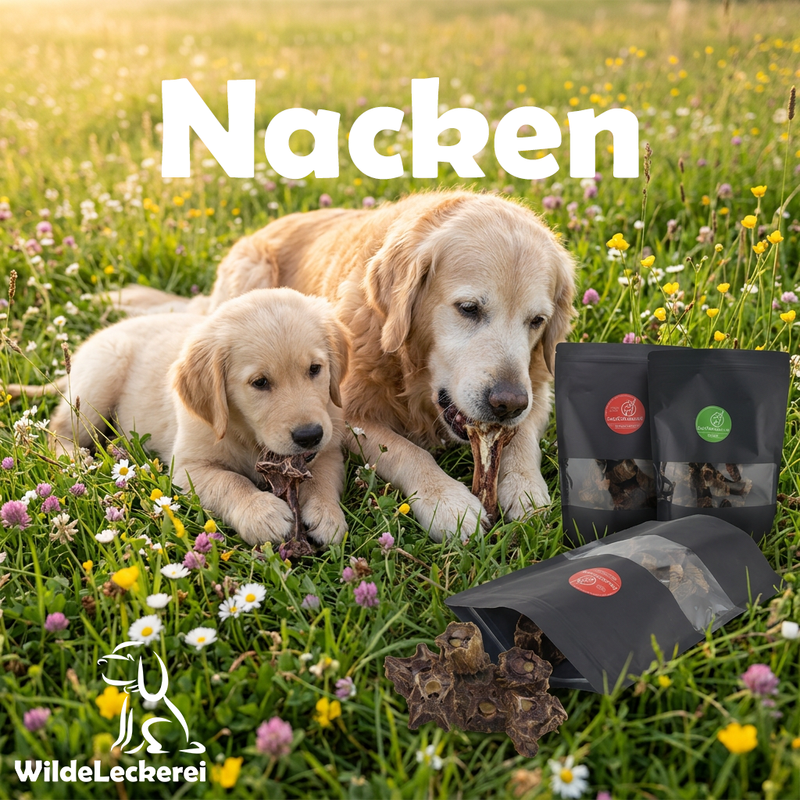 Wilde Nacken