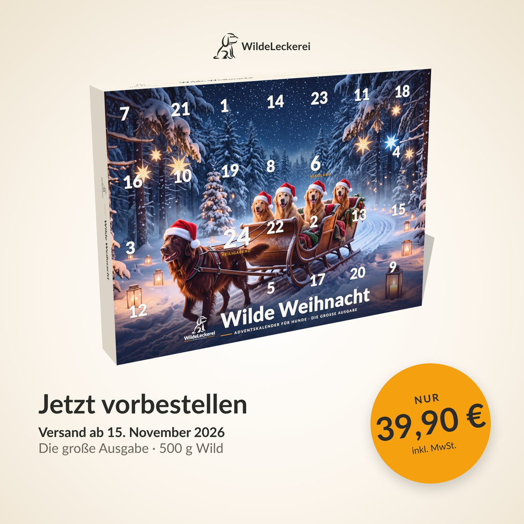 Adventskalender für Hunde, große Ausgabe – jetzt vorbestellen, 39,90 €