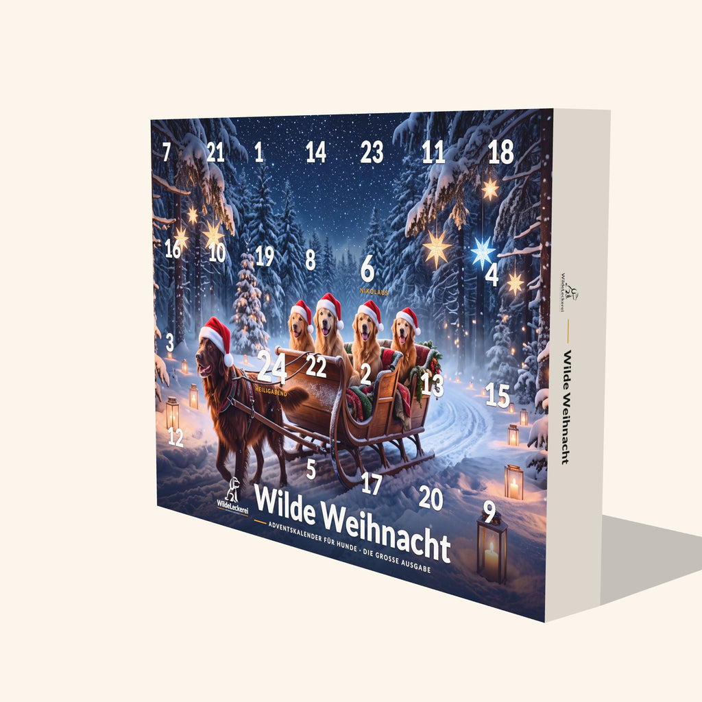 Seitenansicht