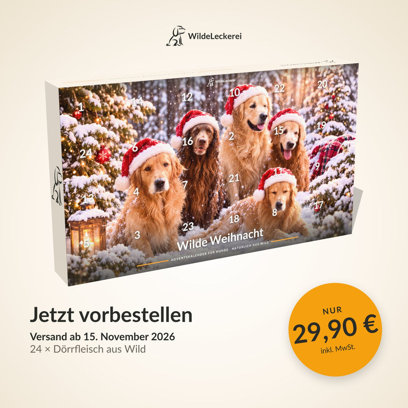Adventskalender für Hunde Wilde Weihnacht – jetzt vorbestellen, 29,90 €