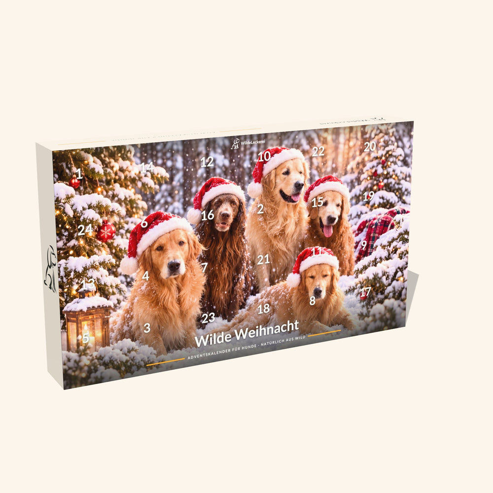 Adventskalender Wilde Weihnacht, Ansicht schräg
