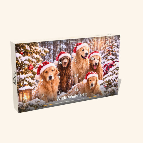 Adventskalender Wilde Weihnacht, Ansicht schräg