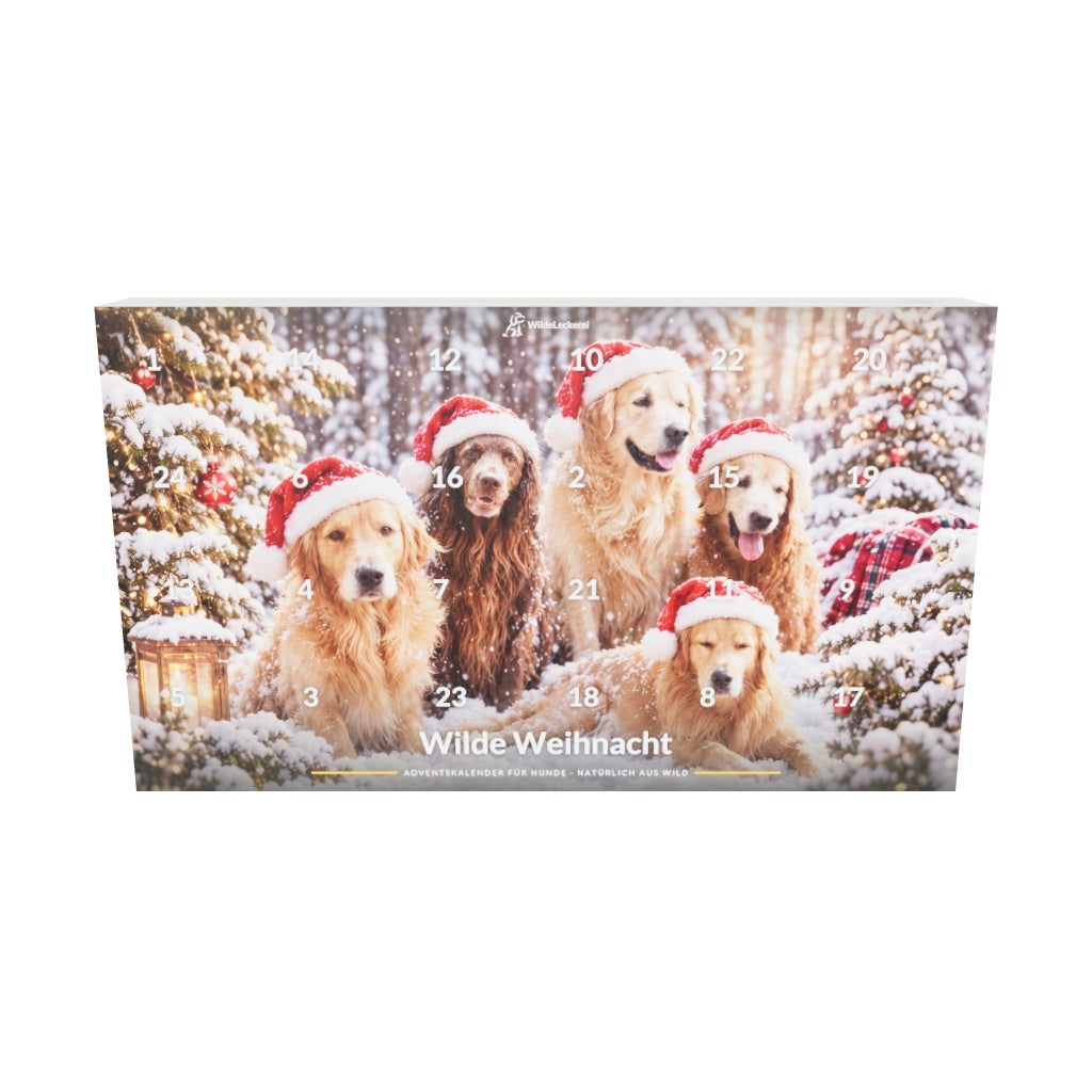 3D-Modell Adventskalender – zum Drehen